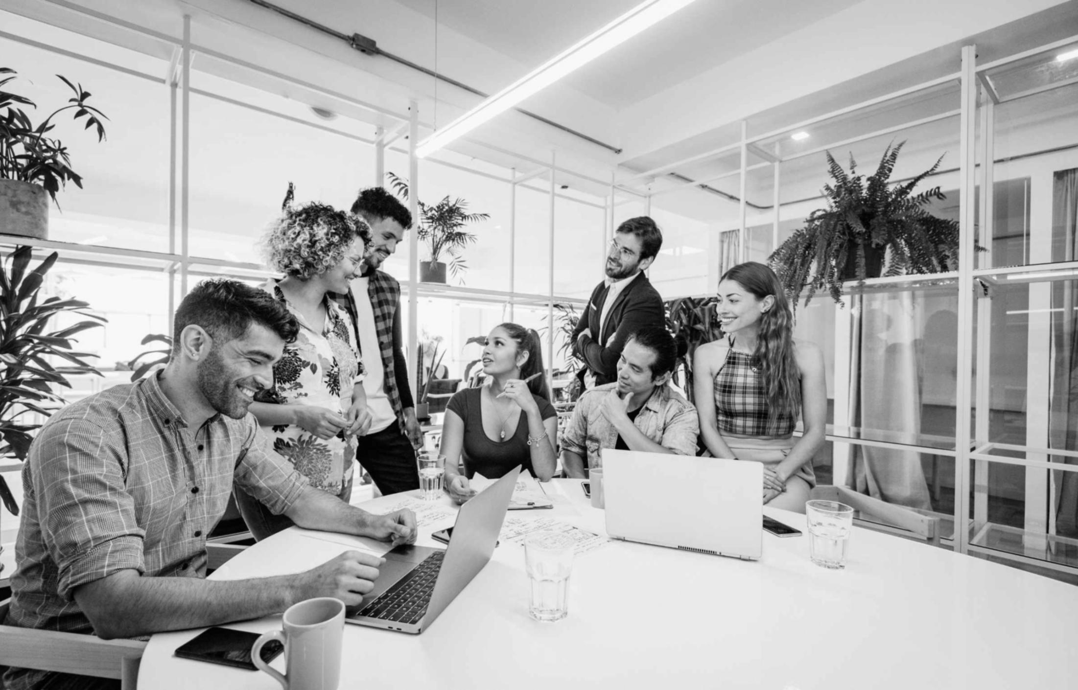 Příprava obsahu kurzu o daňových optimalizacích